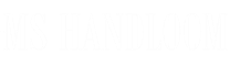 MS Handloom Noida