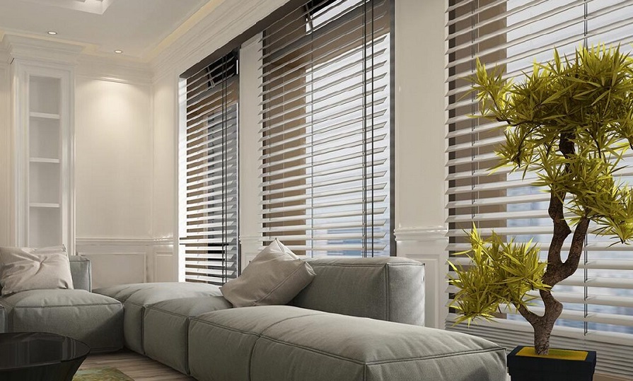 MAC Windows Blinds