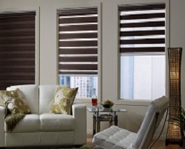 Zebra Blinds